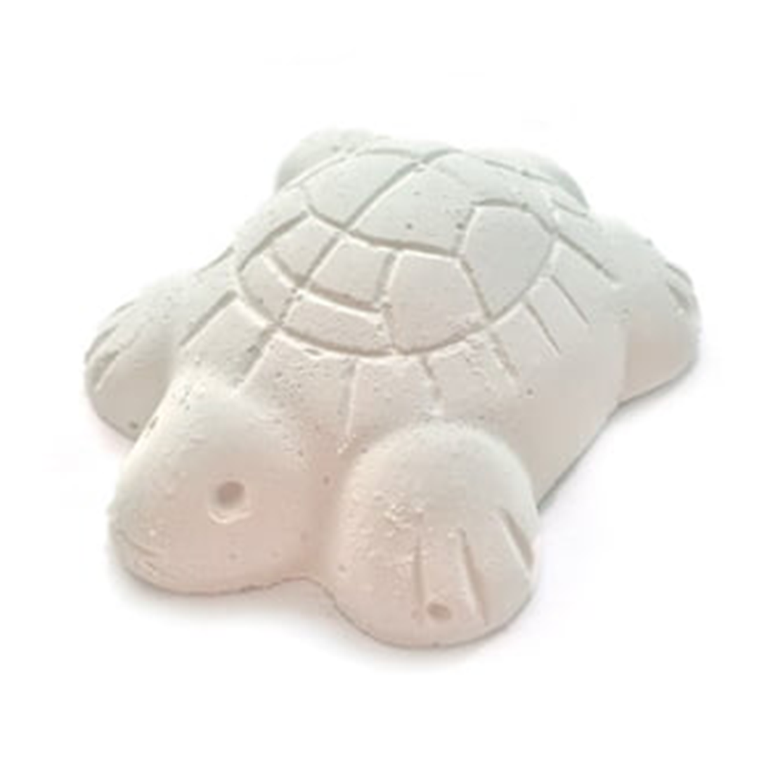 ACUALIAN CALCIO TORTUGAS