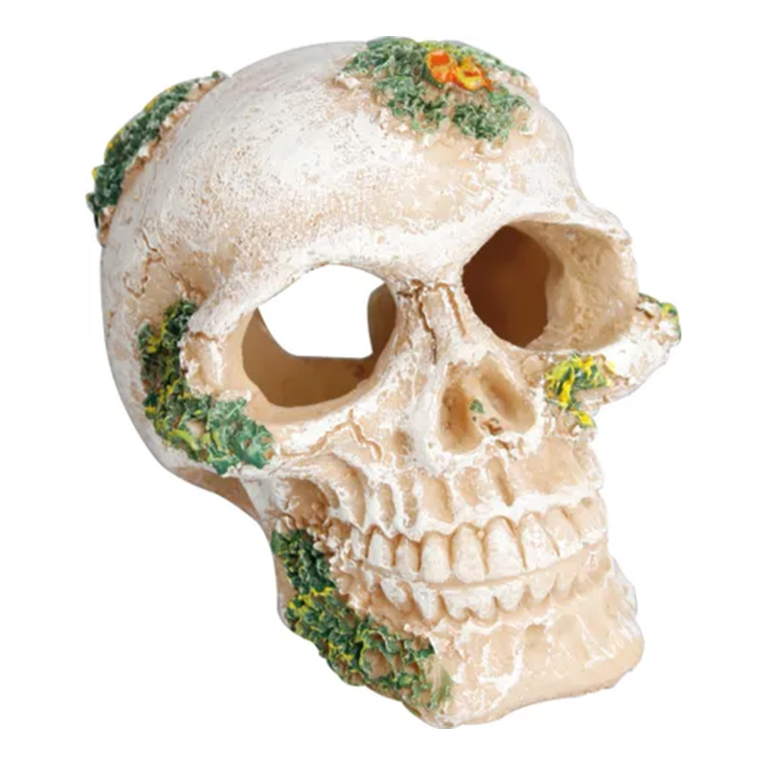 FIGURA SKULL