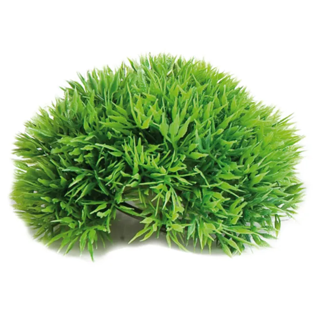 PELOTA DE MUSGO ACUARIO 12 CM