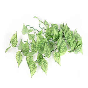 PLANTA TERRARIO VERDE CLARO MOD 1