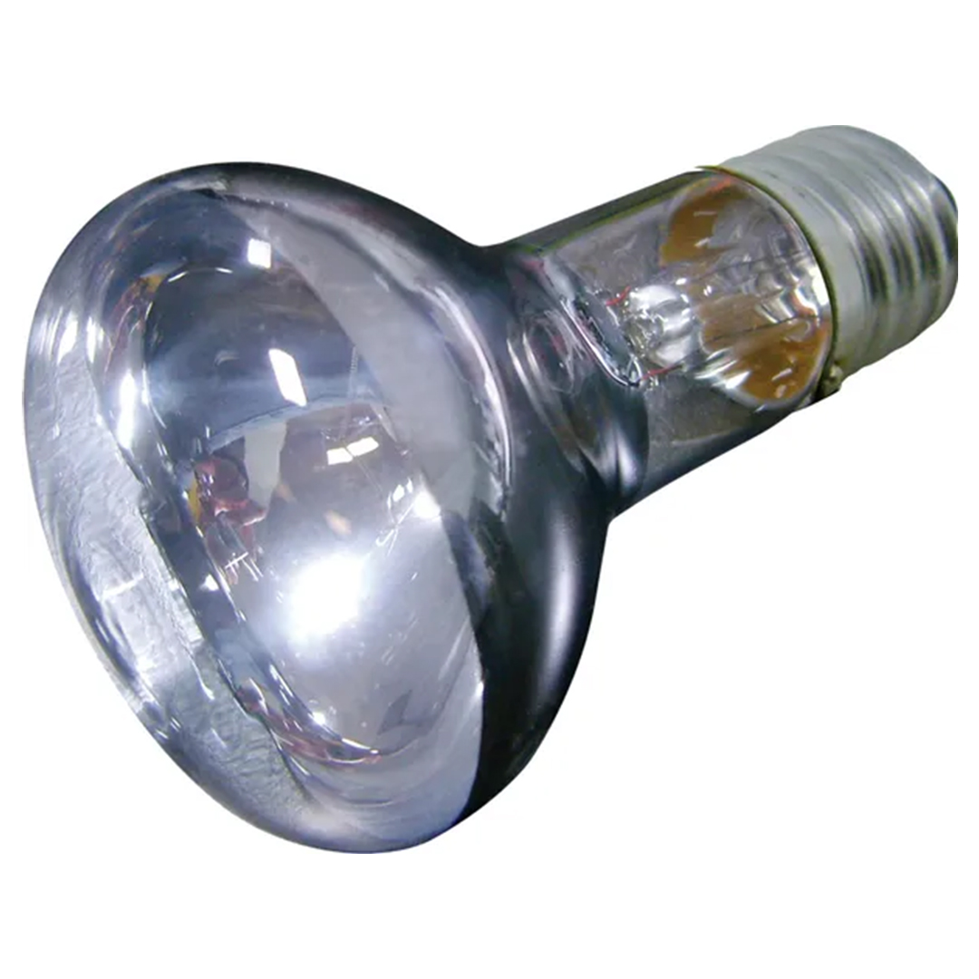 LAMPARA LUZ DIA JOULE 50 W