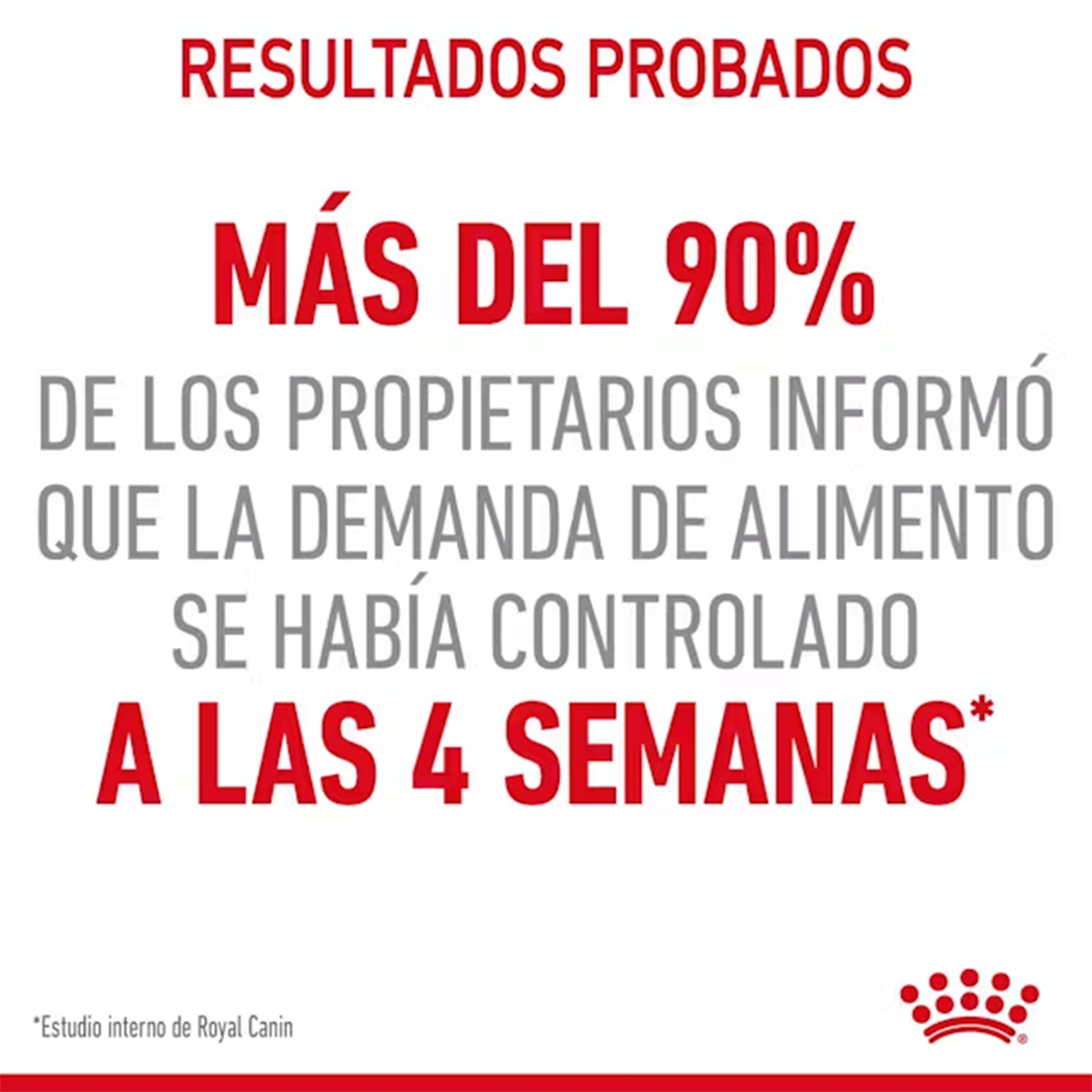 ROYAL CANIN APPETITE CONTROL CAT 3.5KG - Imagen 3