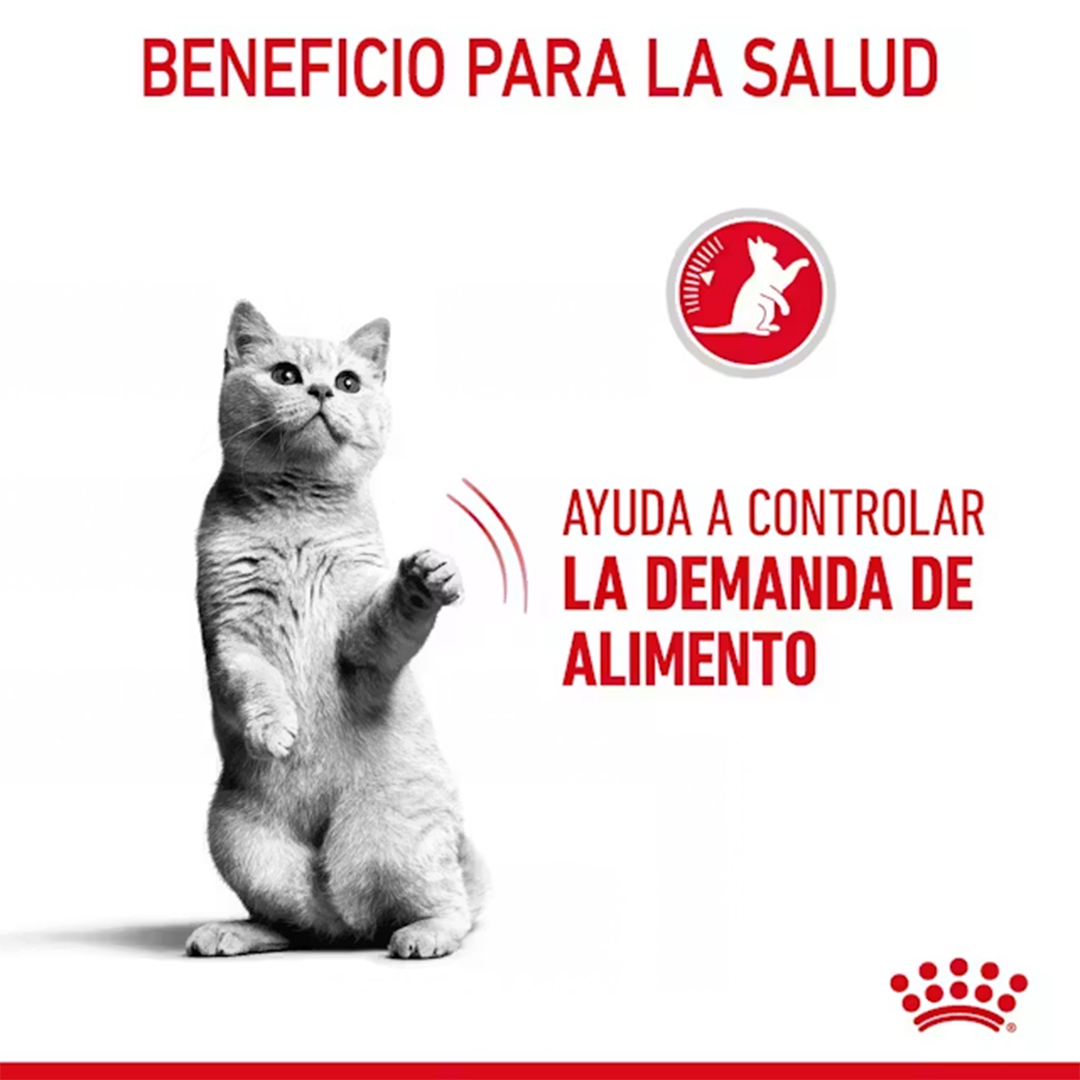 ROYAL CANIN APPETITE CONTROL CAT 3.5KG - Imagen 5