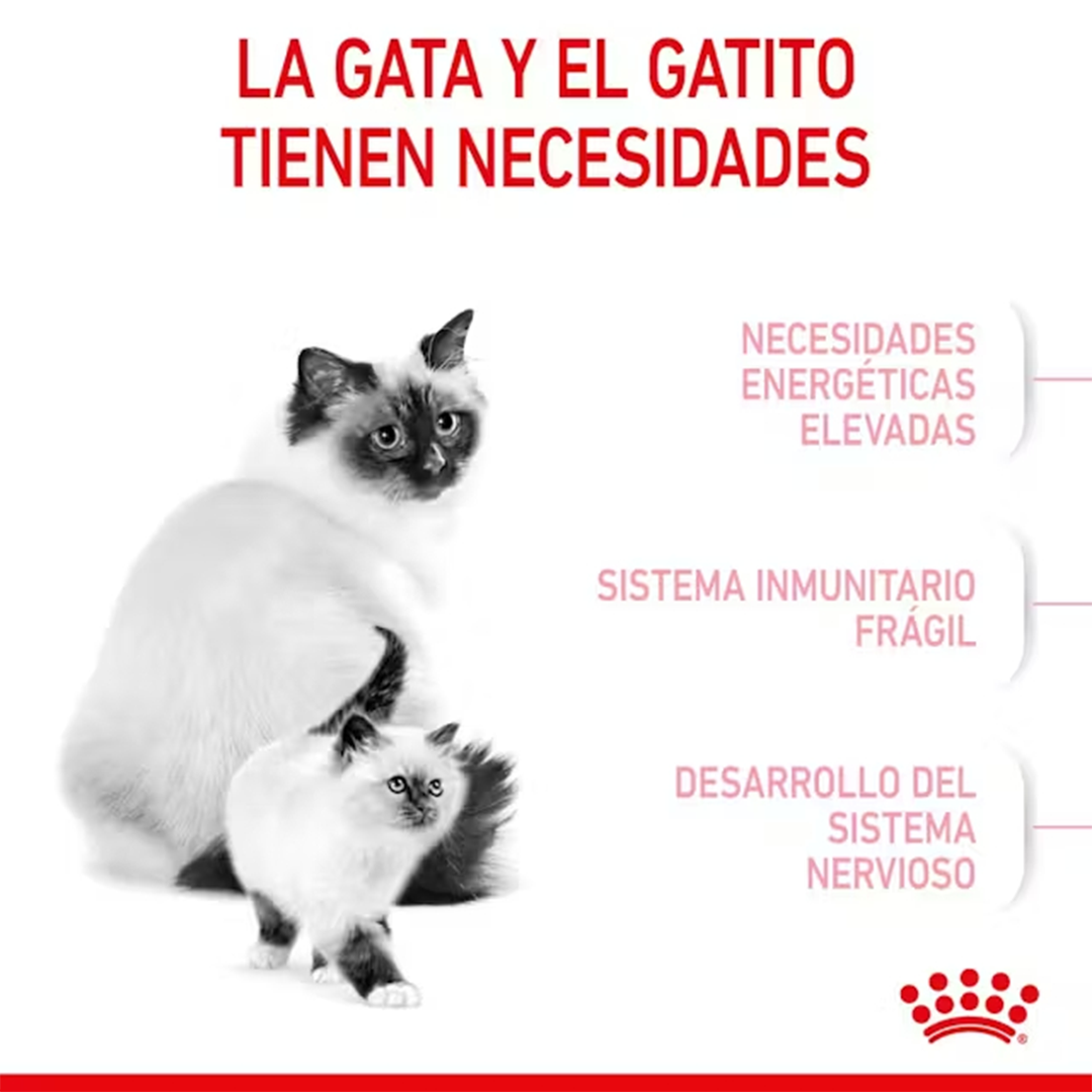 ROYAL CANIN MOTHER & BABYCAT 2KG - Imagen 4