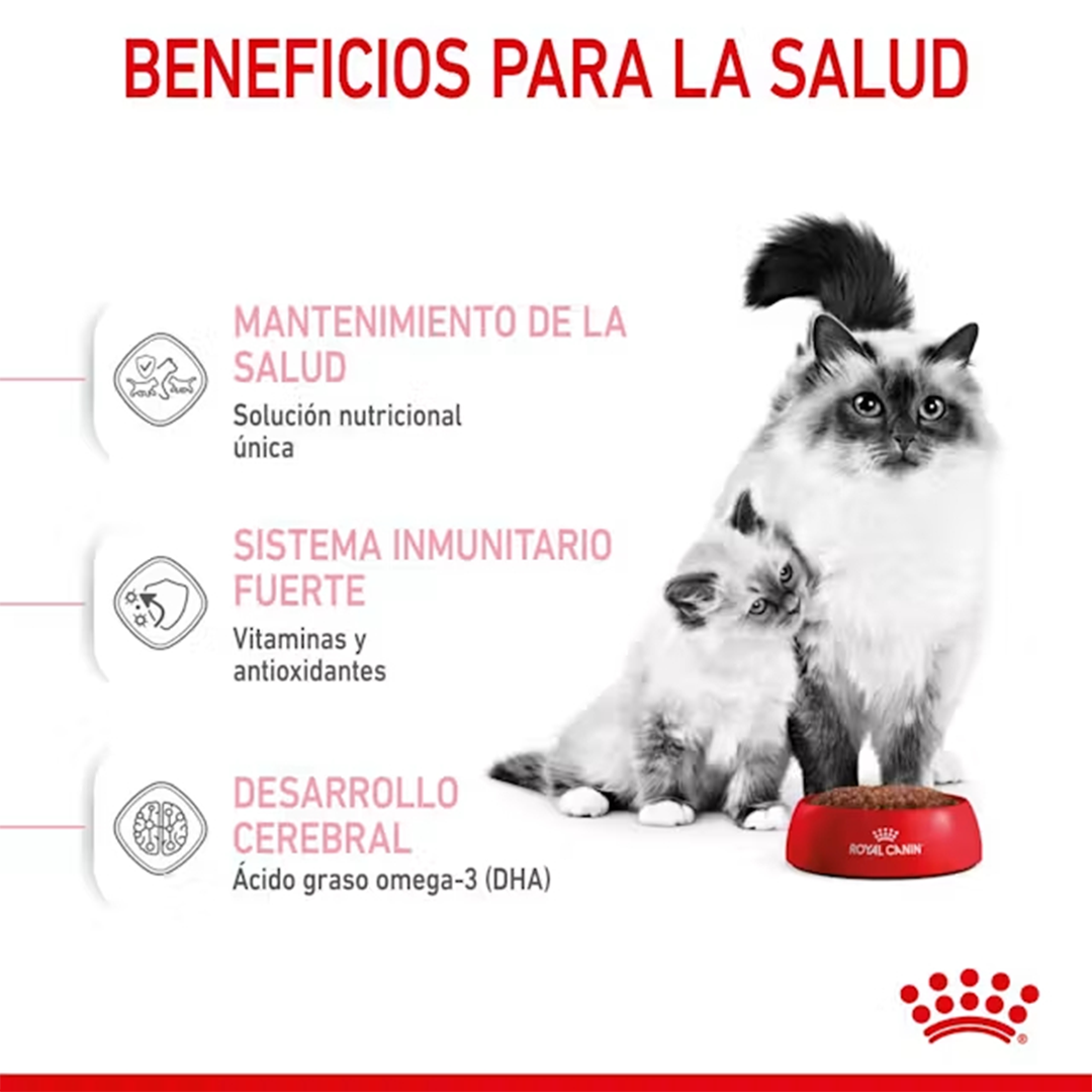ROYAL CANIN MOTHER & BABYCAT 2KG - Imagen 5