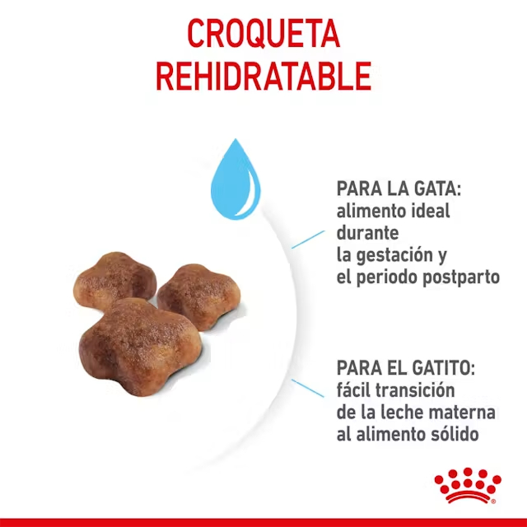 ROYAL CANIN MOTHER & BABYCAT 2KG - Imagen 3