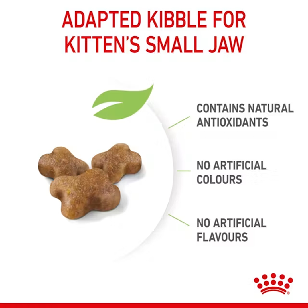 ROYAL CANIN KITTEN 2 KG - Imagen 3