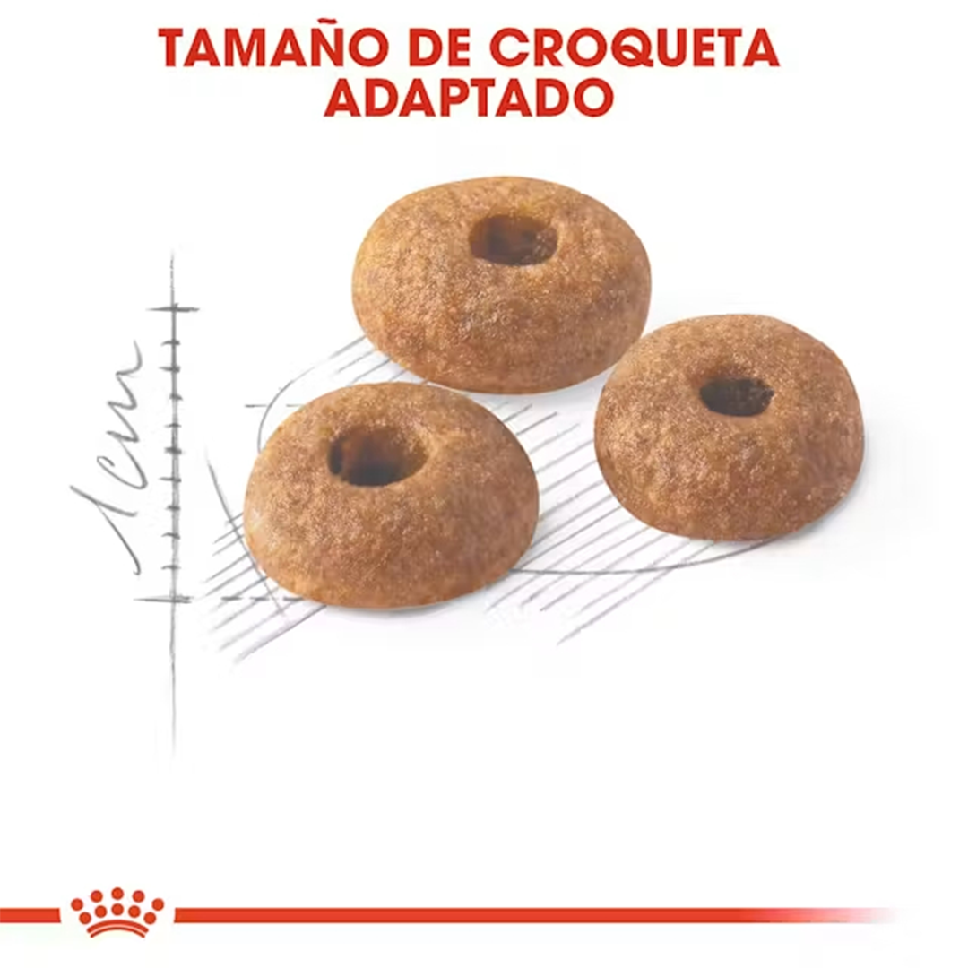 ROYAL CANIN FIT 32 CAT 2KG - Imagen 3
