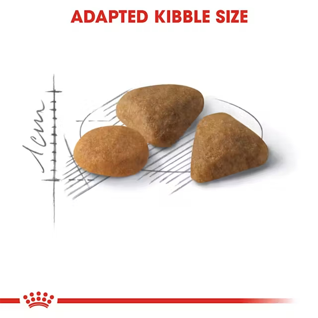 ROYAL CANIN SAVOUR EXIGENT CAT 2KG - Imagen 3