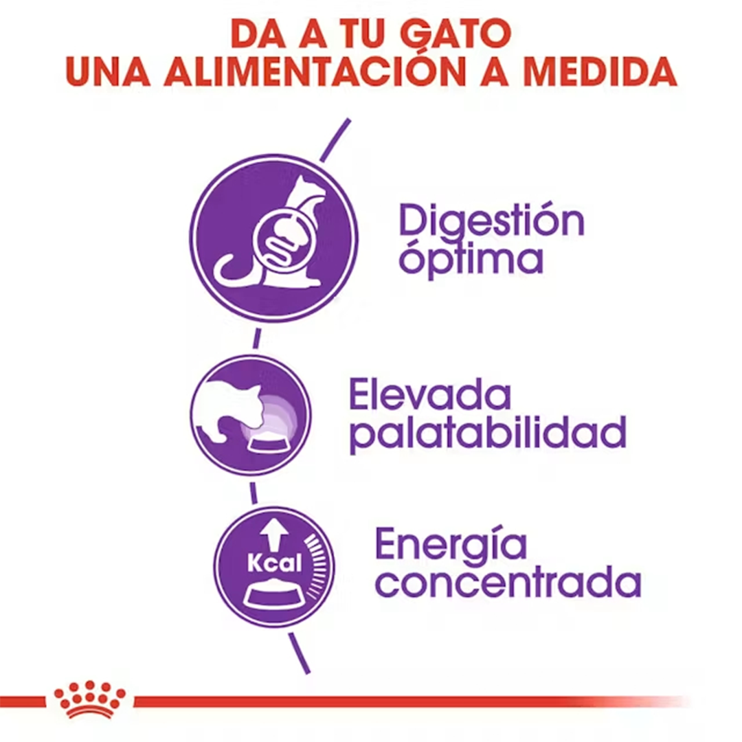 ROYAL CANIN SENSIBLE 33 CAT 2KG - Imagen 3