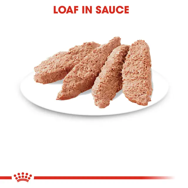 ROYAL CANIN SOBRE INSTINCTIVE IN LOAF 85 - Imagen 5