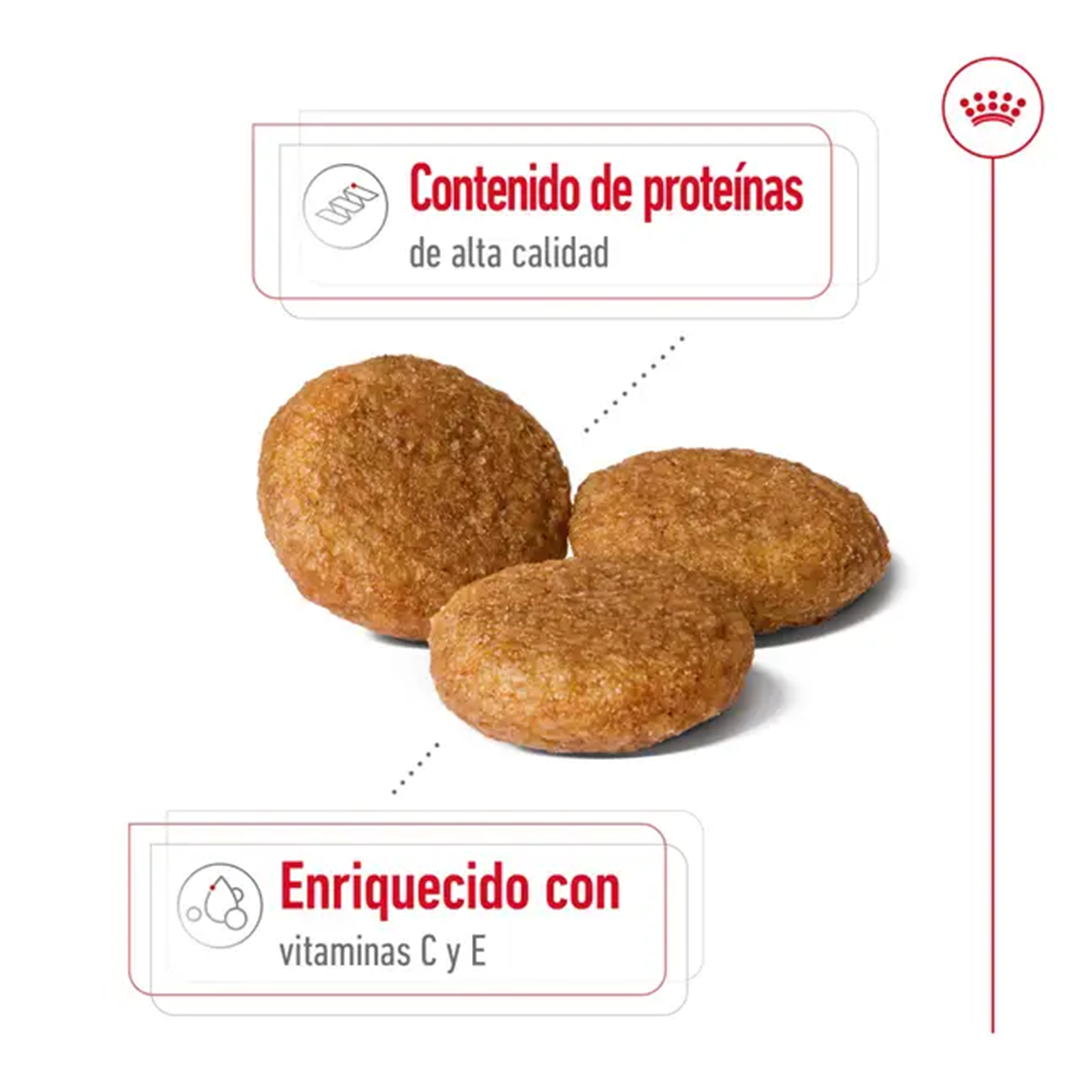 ROYAL CANIN MEDIUM ADULT 4KG - Imagen 4