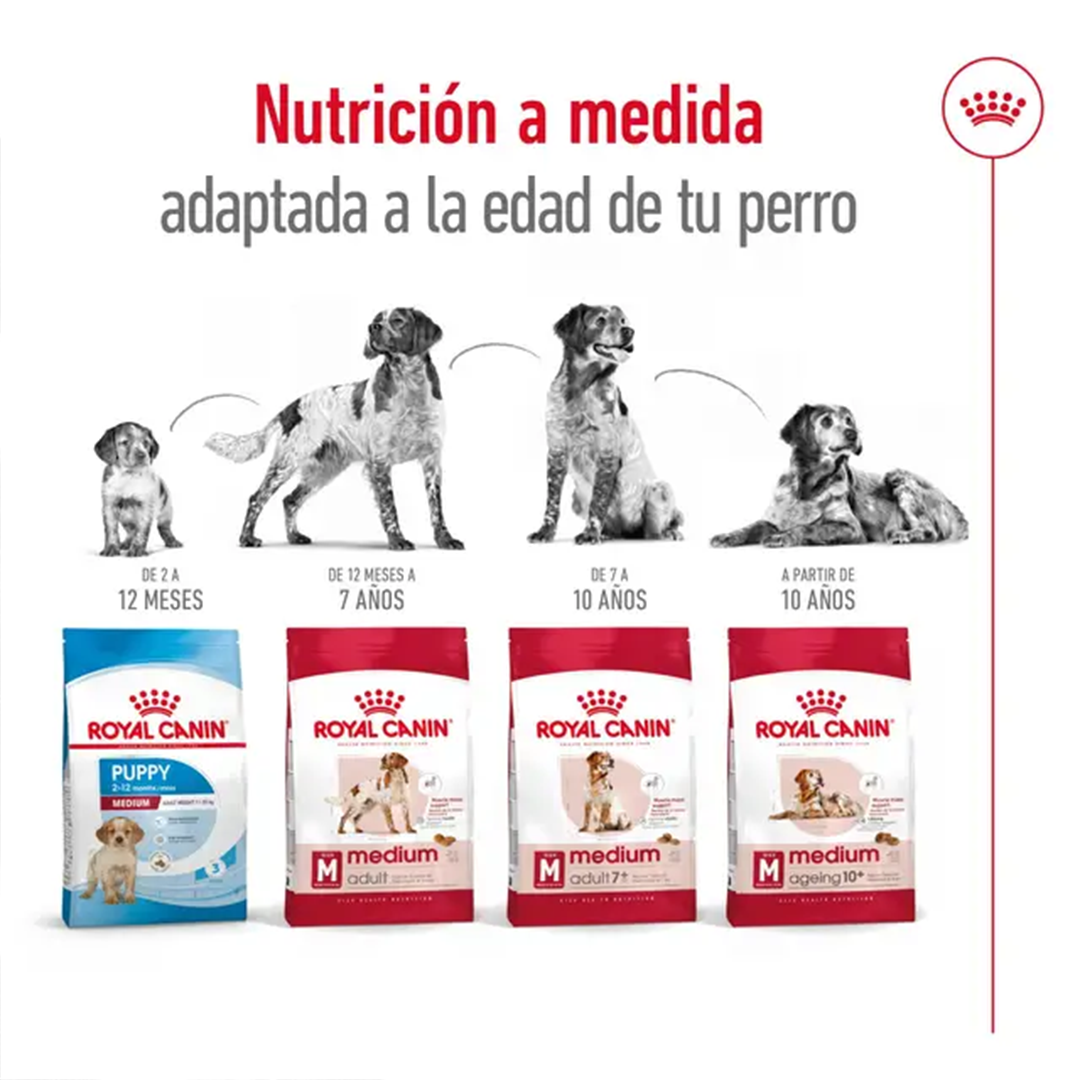 ROYAL CANIN MEDIUM ADULT 4KG - Imagen 6