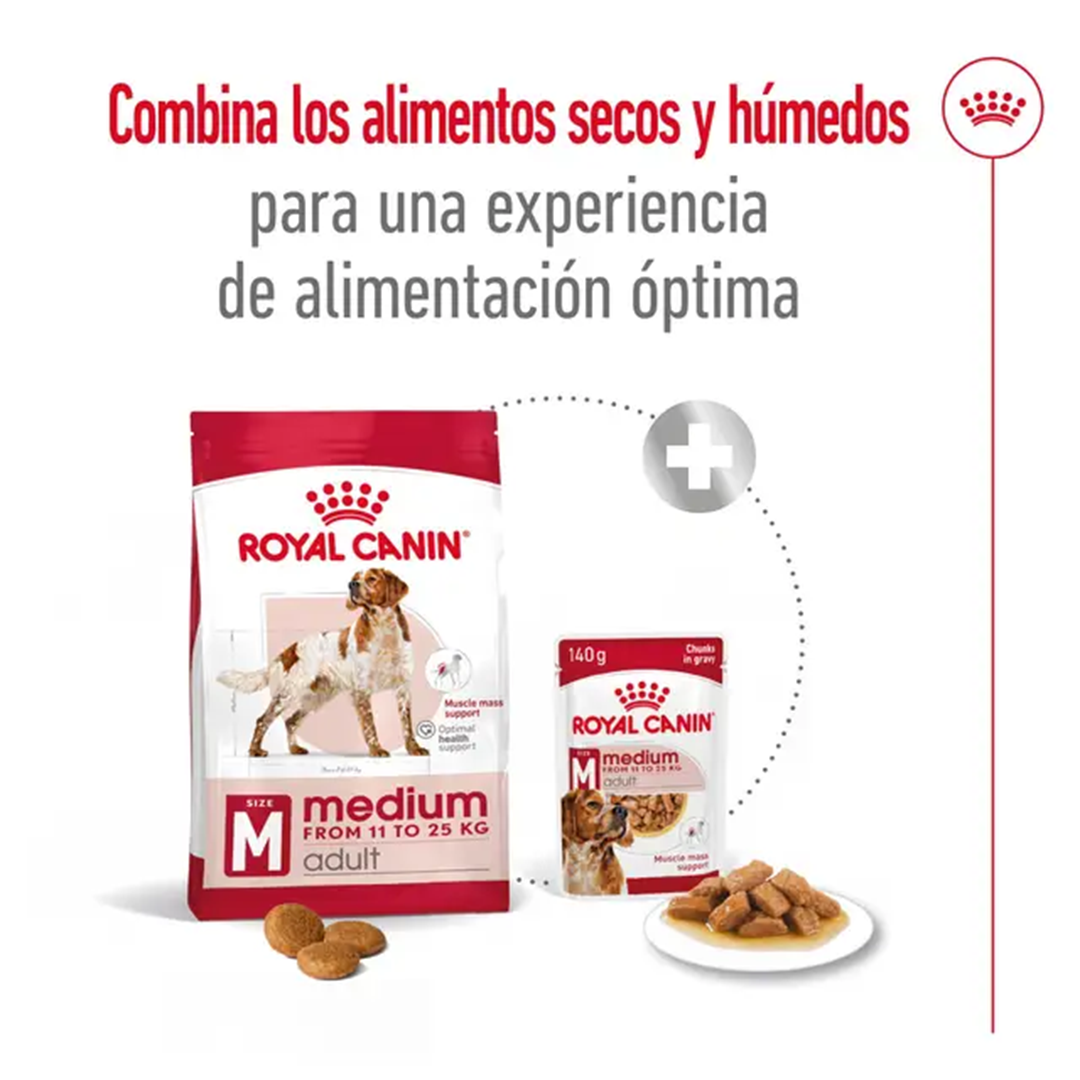 ROYAL CANIN MEDIUM ADULT 4KG - Imagen 8
