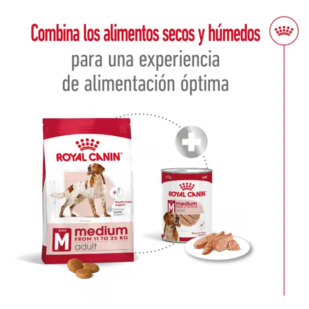 ROYAL CANIN MEDIUM ADULT 4KG - Imagen 7