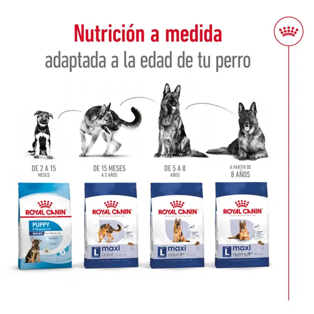 ROYAL CANIN MAXI ADULT 4KG - Imagen 7