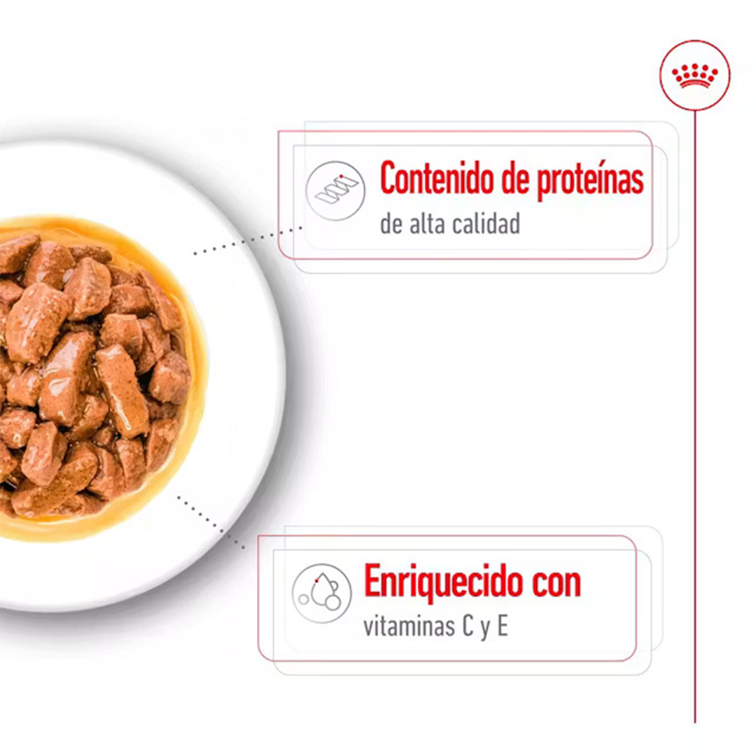 ROYAL CANIN SOBRE MEDIUM ADULT DOG 140GR - Imagen 5