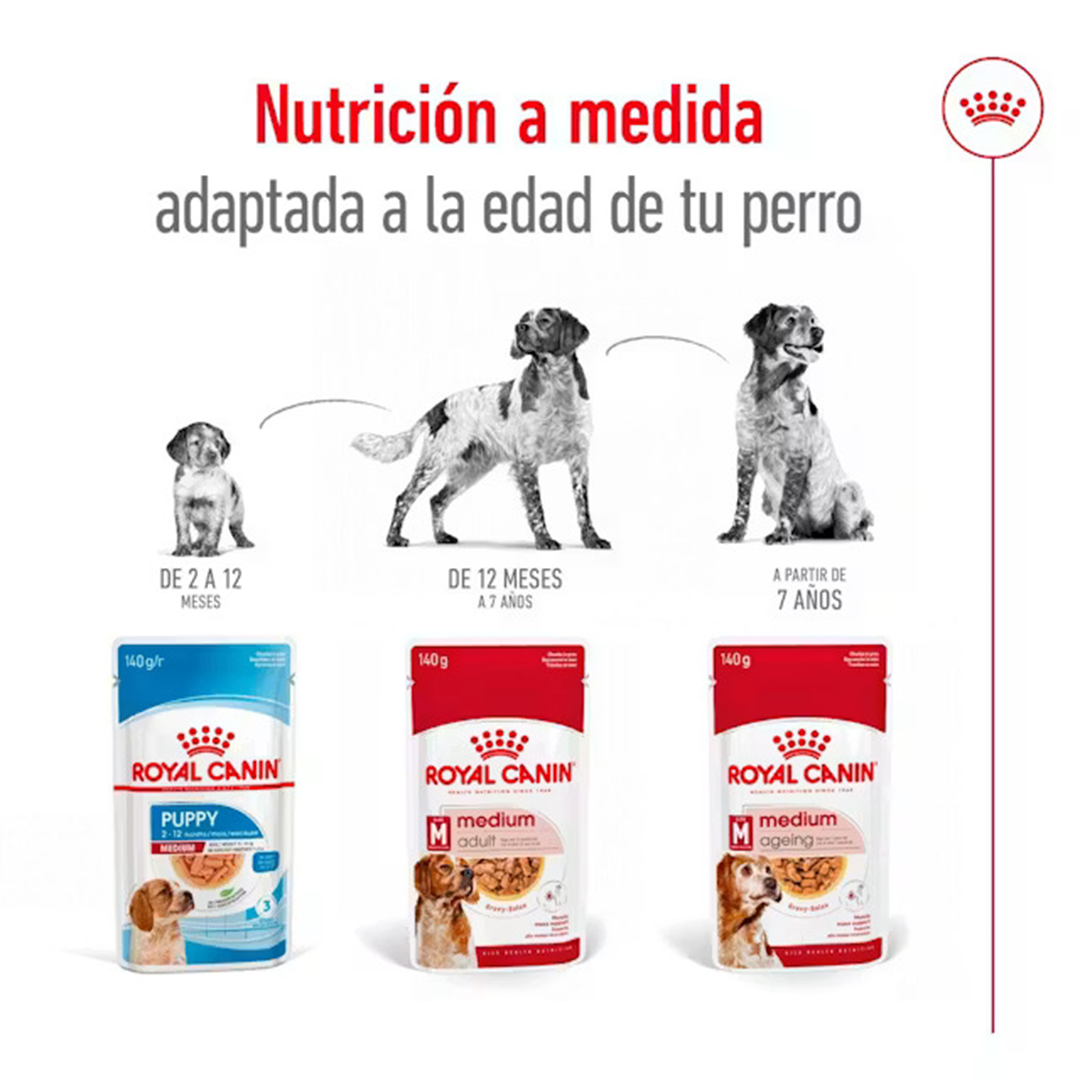 ROYAL CANIN SOBRE MEDIUM ADULT DOG 140GR - Imagen 6
