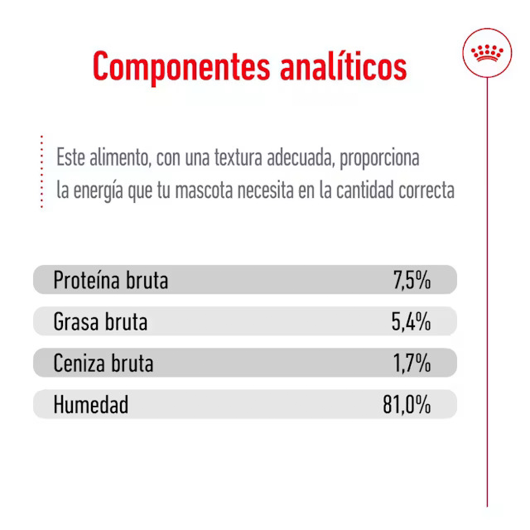 ROYAL CANIN SOBRE MEDIUM ADULT DOG 140GR - Imagen 8