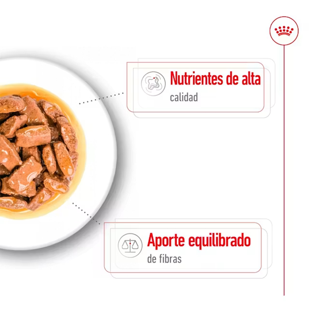 ROYAL CANIN SOBRE MAXI ADULT DOG 140GR - Imagen 4