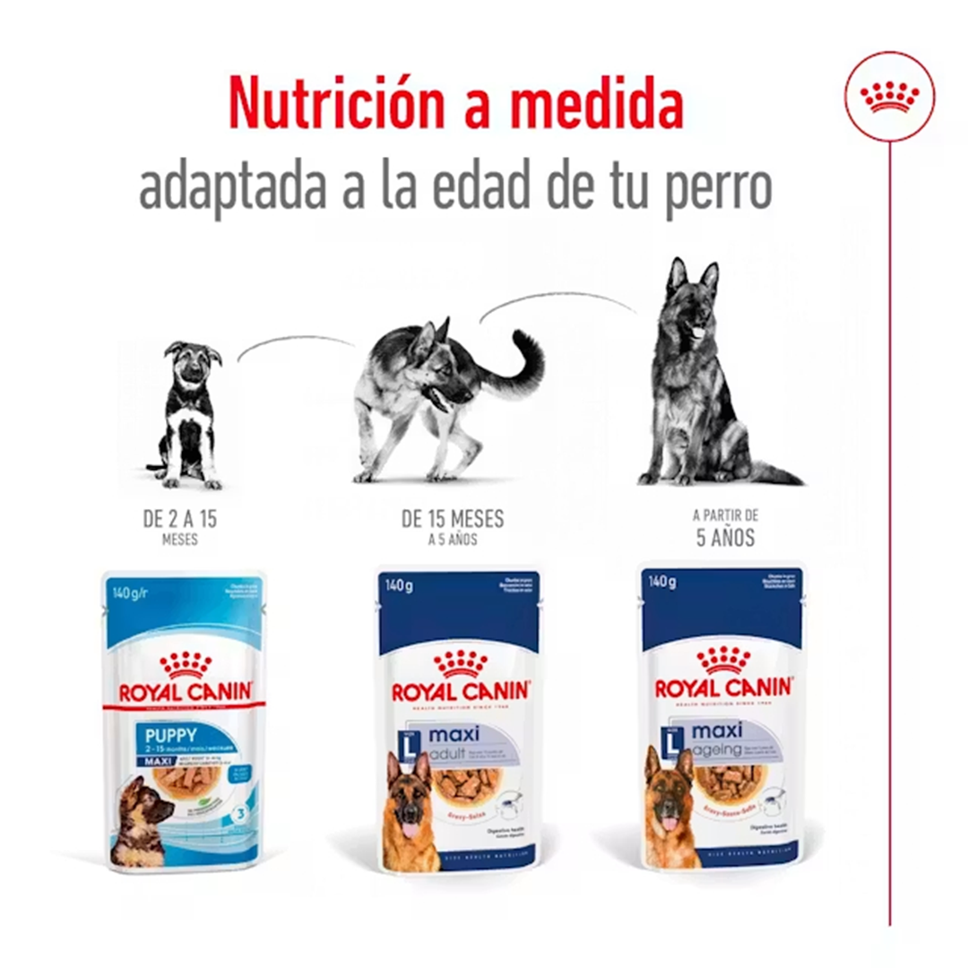 ROYAL CANIN SOBRE MAXI ADULT DOG 140GR - Imagen 3