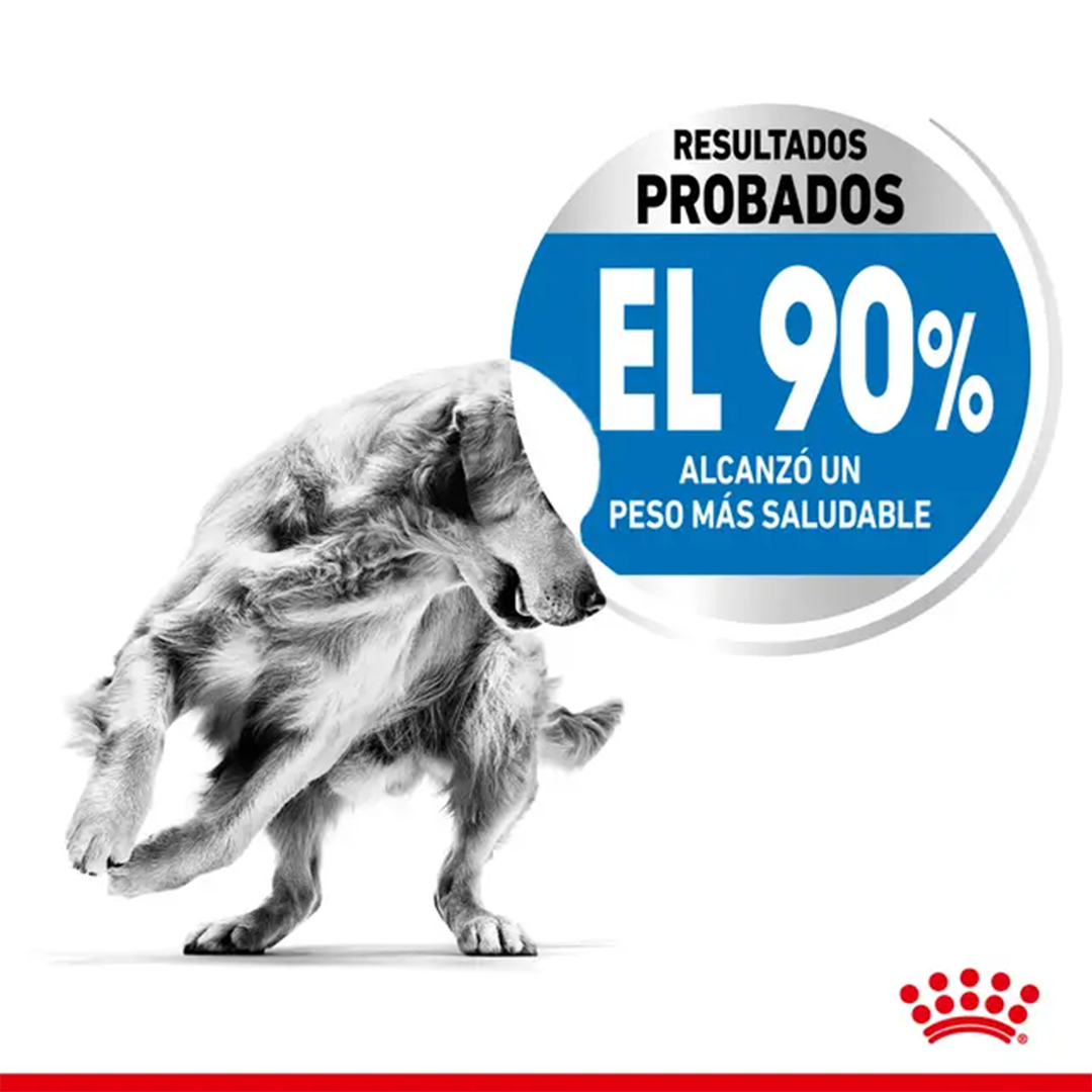 ROYAL CANIN MAXI LIGHT WEIGHT CARE 12KG - Imagen 4