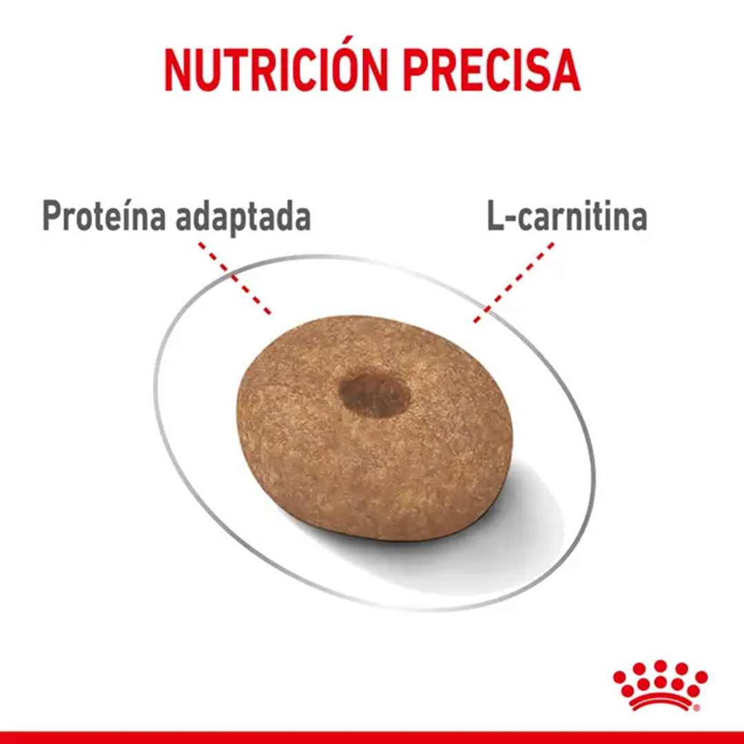 ROYAL CANIN MAXI LIGHT WEIGHT CARE 12KG - Imagen 5