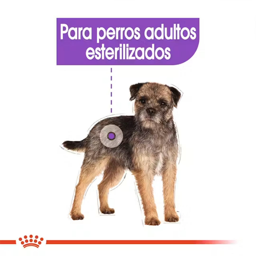 ROYAL CANIN MINI ADULT STERILISED 3KG - Imagen 5