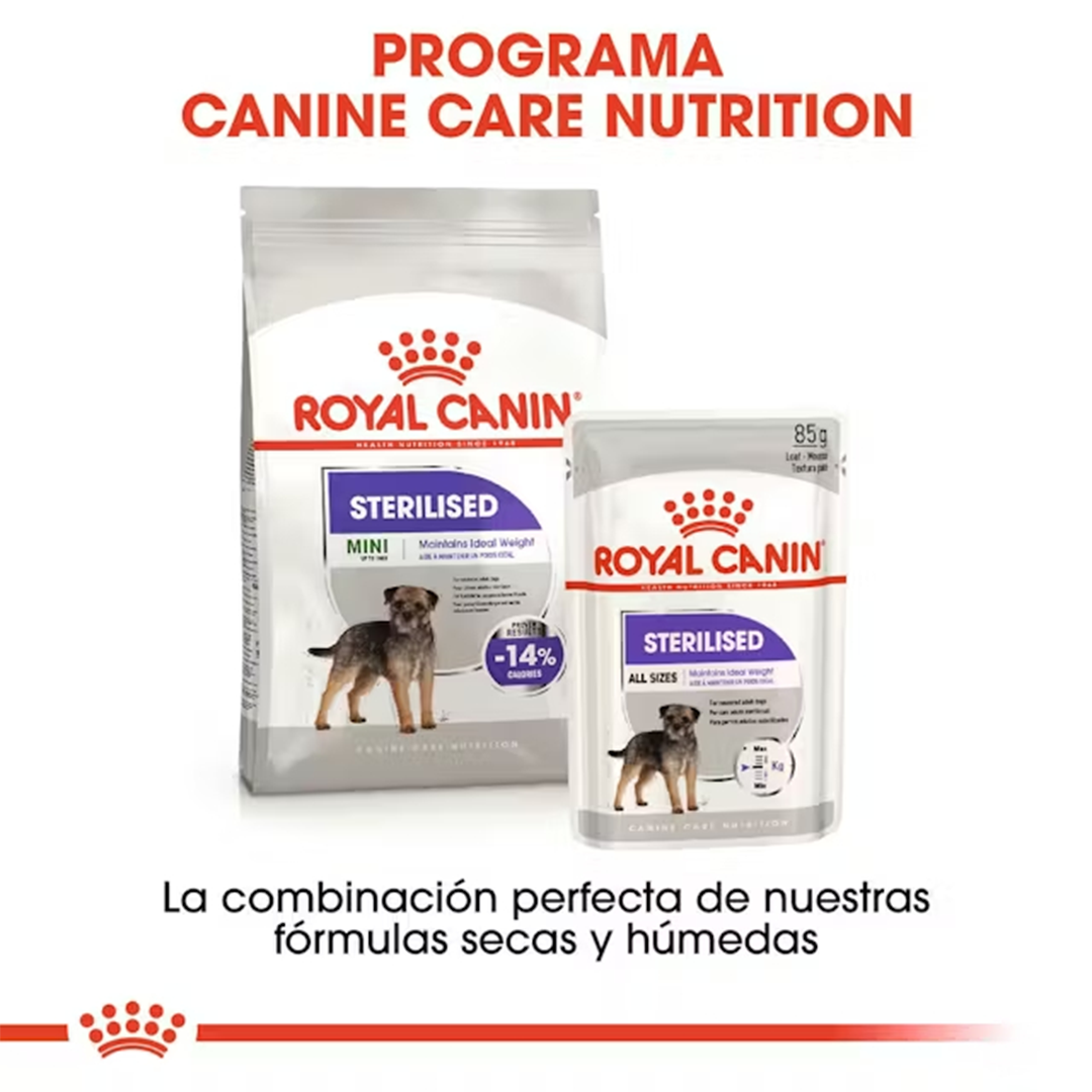 ROYAL CANIN MINI ADULT STERILISED 3KG - Imagen 6