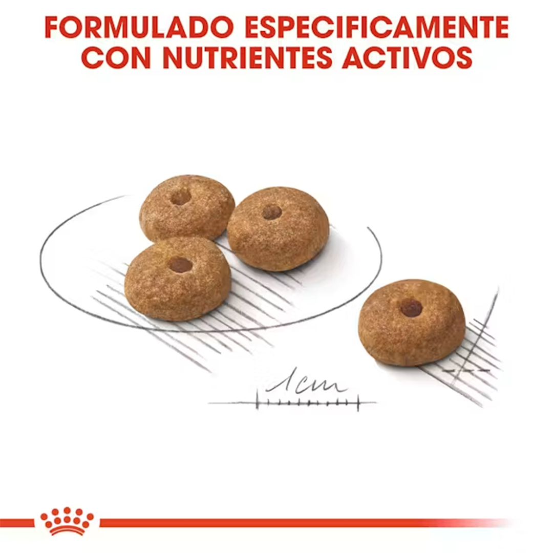 ROYAL CANIN MINI ADULT STERILISED 3KG - Imagen 4