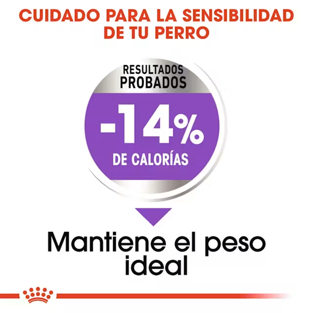 ROYAL CANIN MINI ADULT STERILISED 3KG - Imagen 3