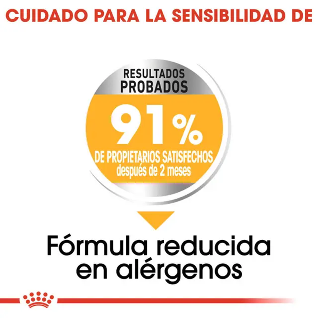 ROYAL CANIN MINI DERMACONFORT 3KG - Imagen 3
