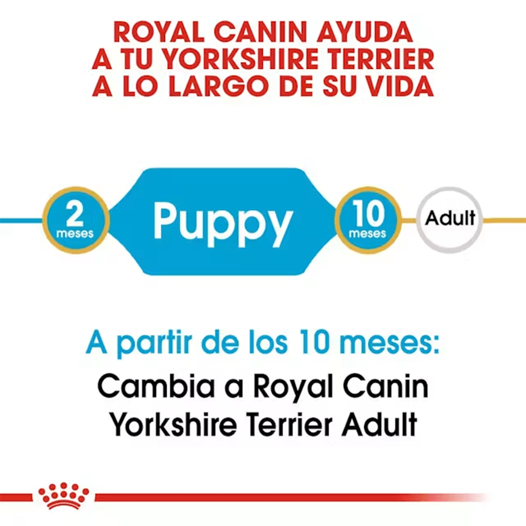 ROYAL CANIN YORKSHIRE PUPPY 1.5KG - Imagen 3
