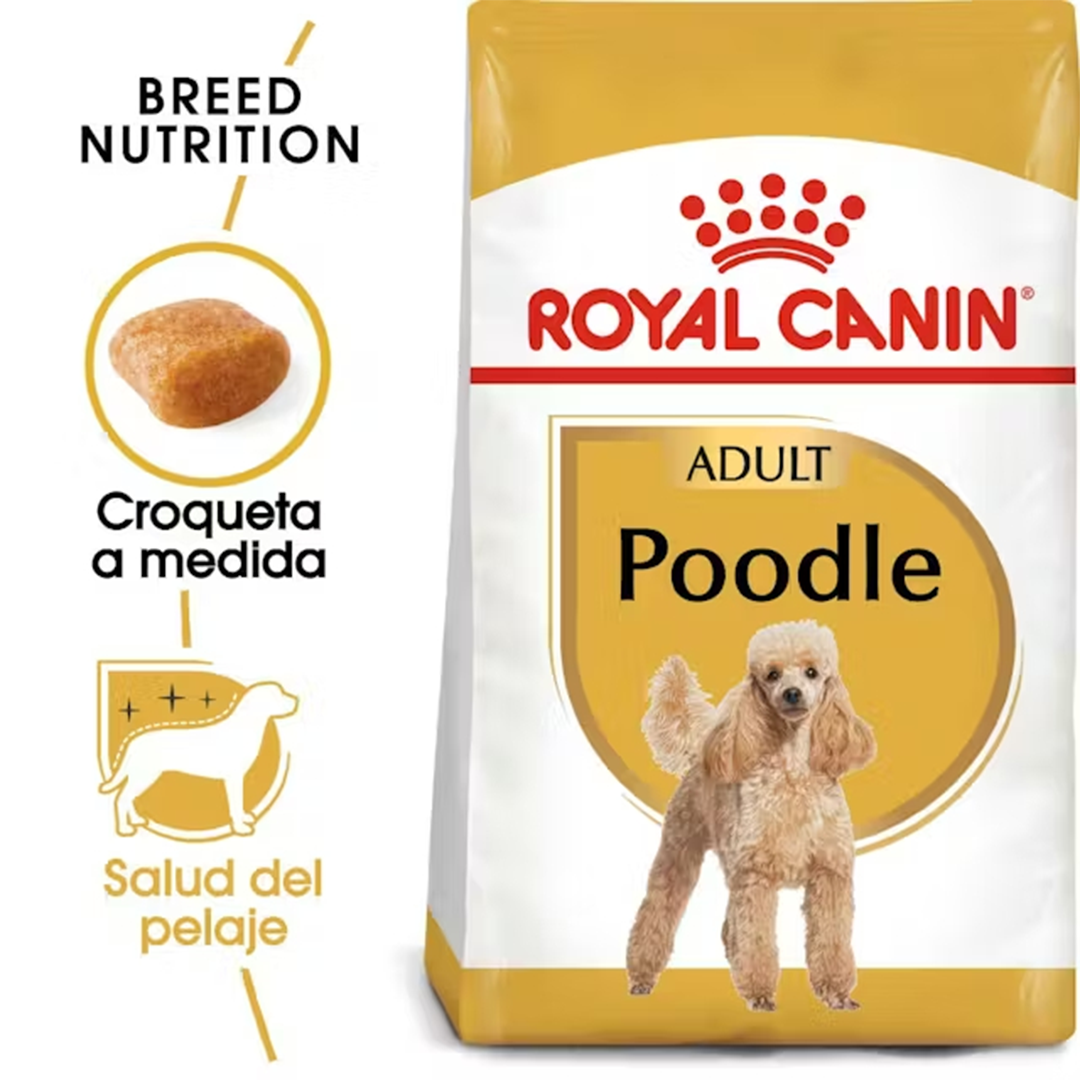 ROYAL CANIN POODLE ADULT 1.5 KG - Imagen 2