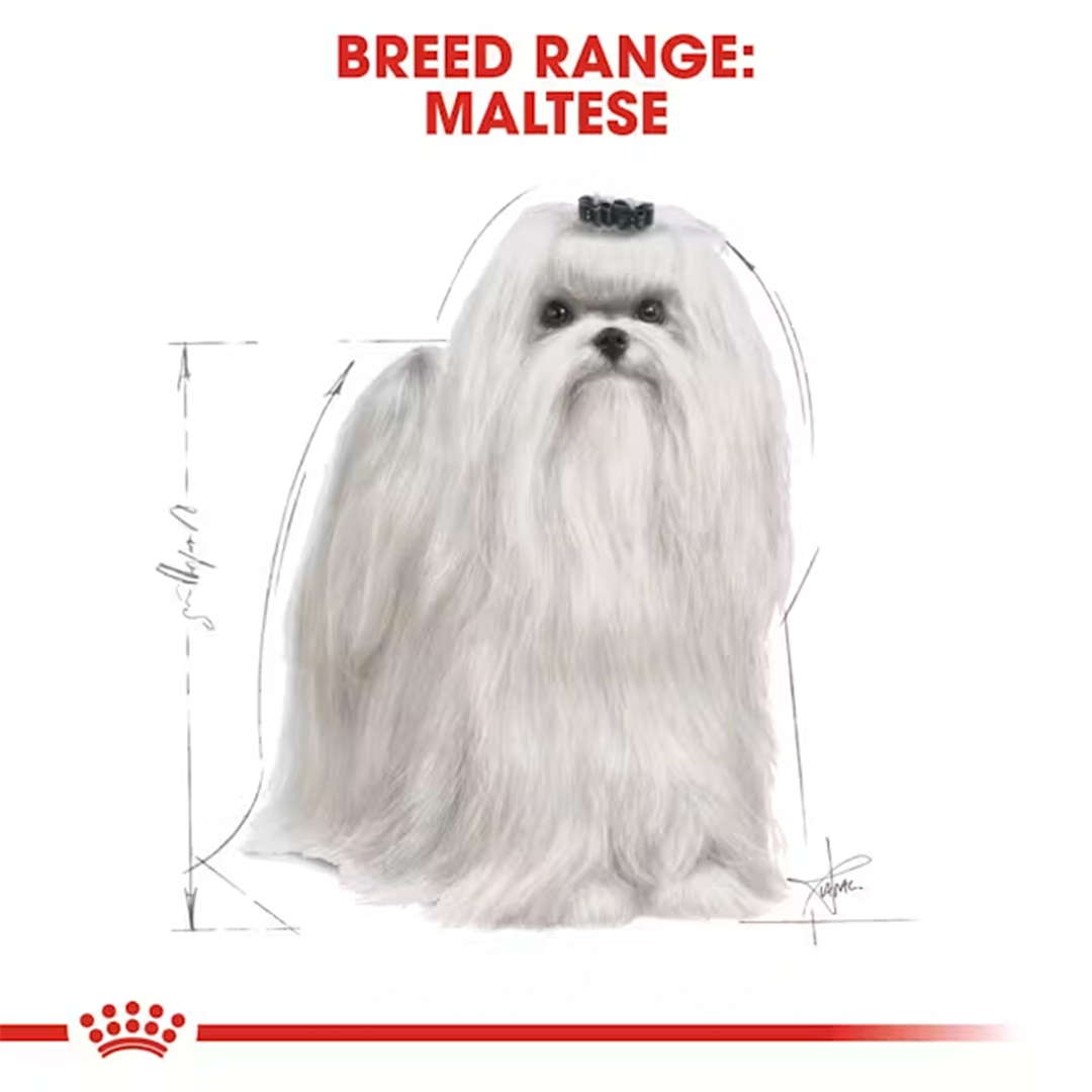 ROYAL CANIN MALTESE ADULT 1,5KG - Imagen 5