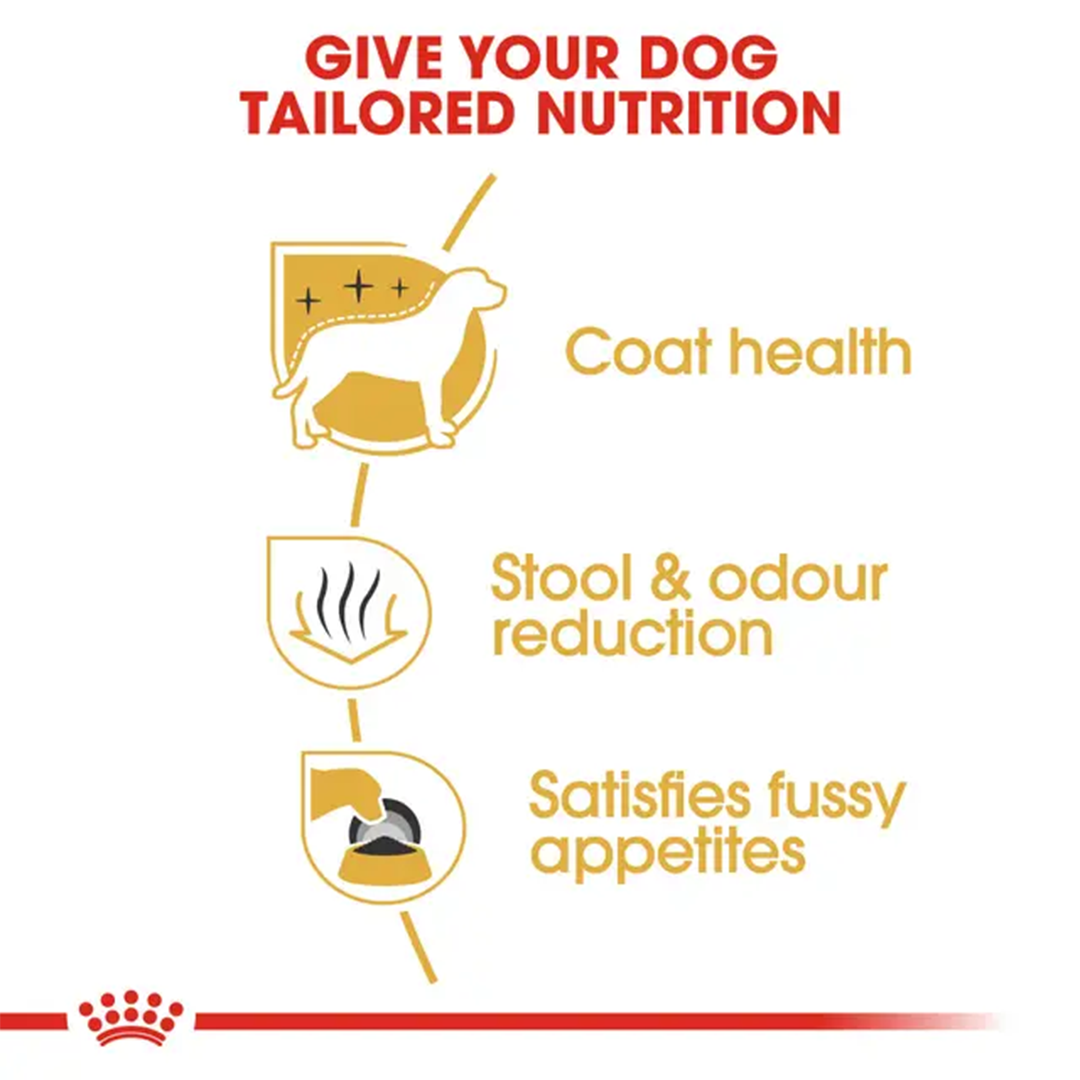 ROYAL CANIN MALTESE ADULT 1,5KG - Imagen 4