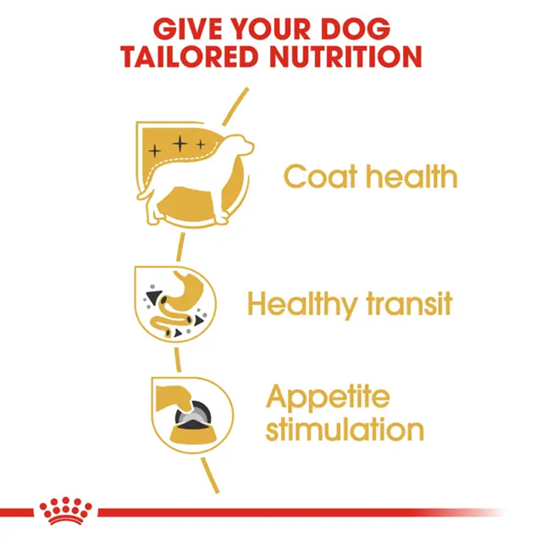 ROYAL CANIN SOBRE CHIHUAHA 85GR - Imagen 5