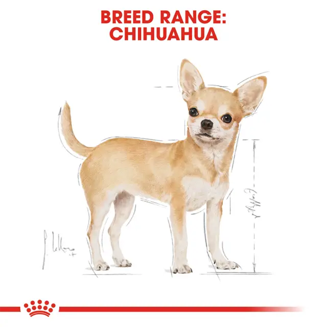 ROYAL CANIN SOBRE CHIHUAHA 85GR - Imagen 4