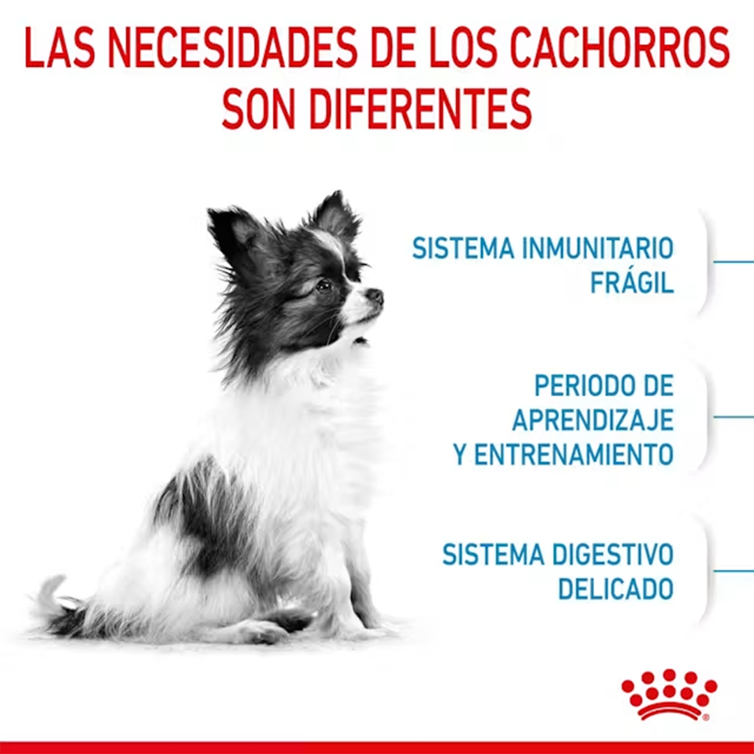 ROYAL CANIN X-SMALL PUPPY 1,5KG - Imagen 4