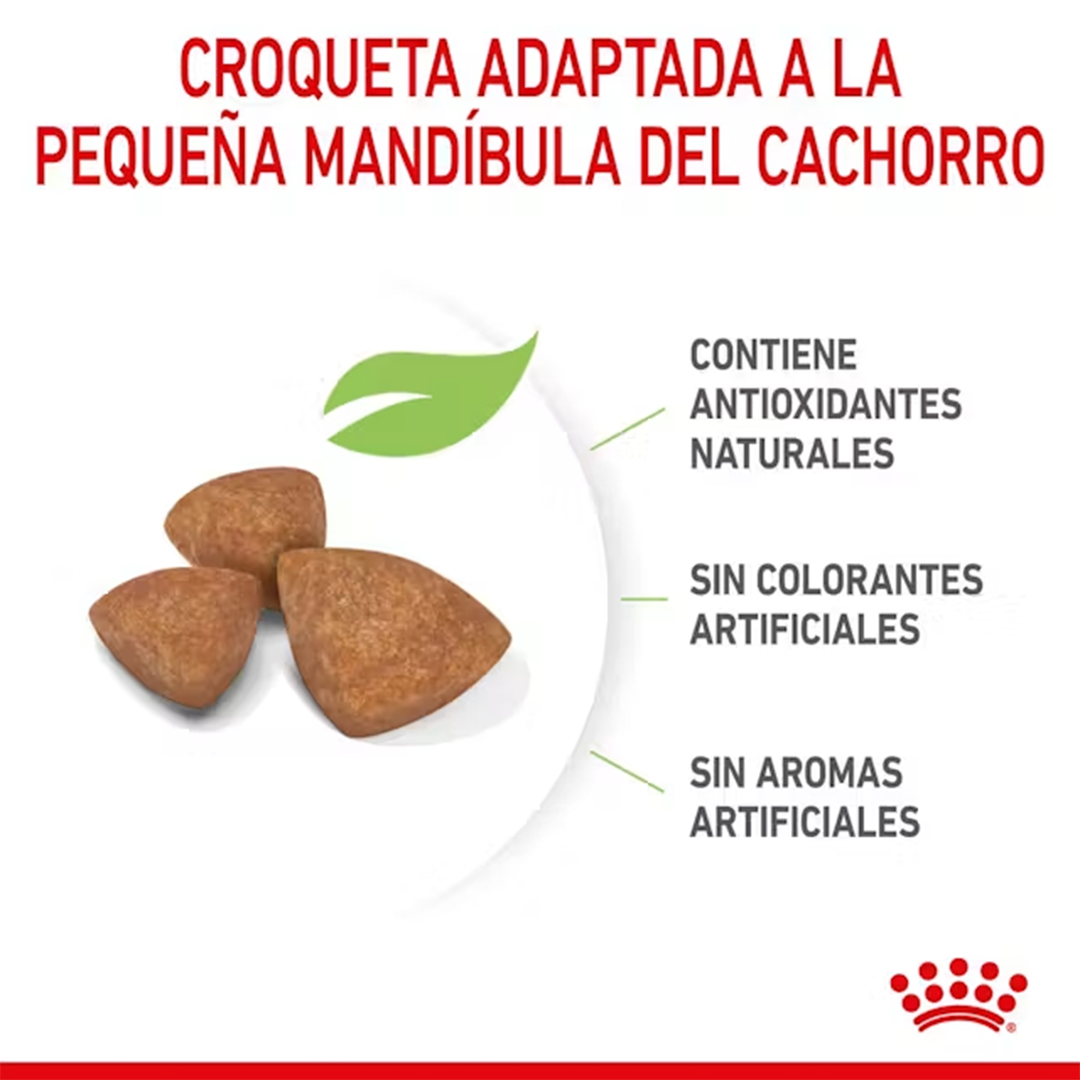 ROYAL CANIN X-SMALL PUPPY 1,5KG - Imagen 5