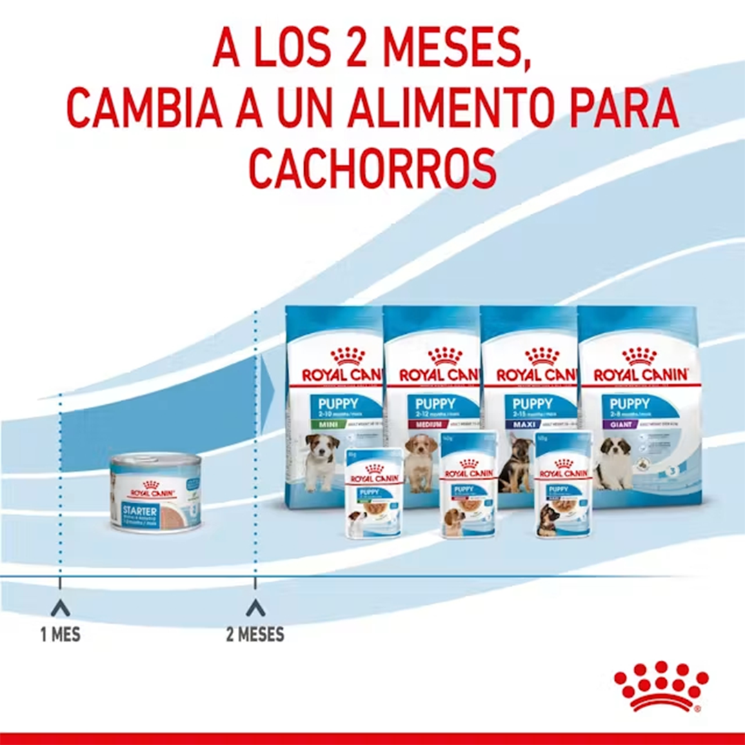 ROYAL CANIN LATA STARTER MOUSSE D 195GR - Imagen 4