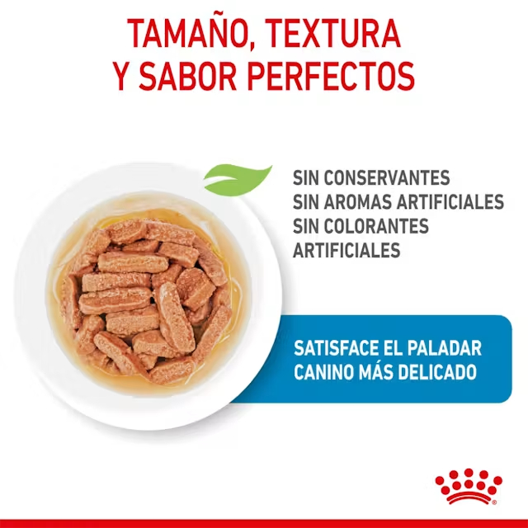 ROYAL CANIN SOBRE MEDIUM PUPPY DOG 85GR - Imagen 3