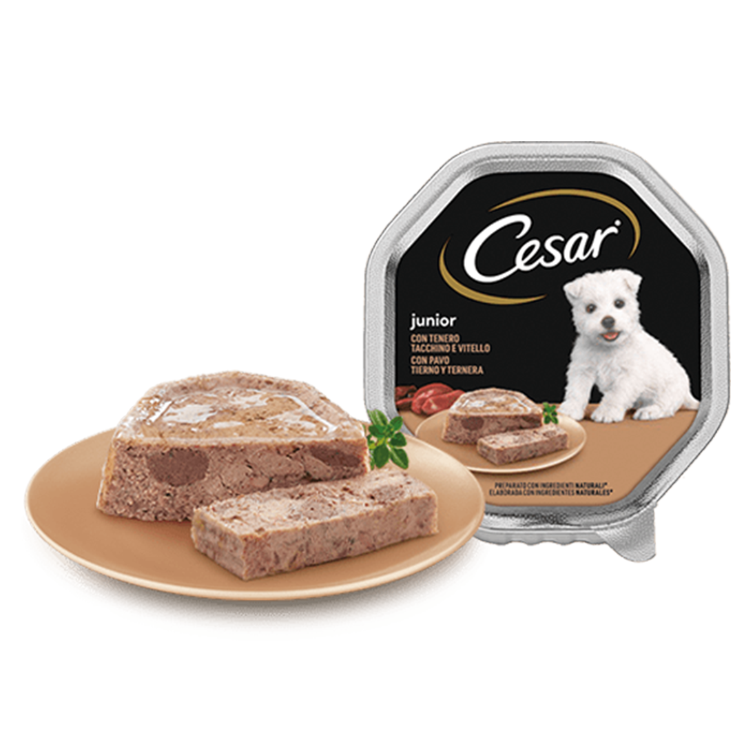 CESAR PUPPY 150 GR - Imagen 2