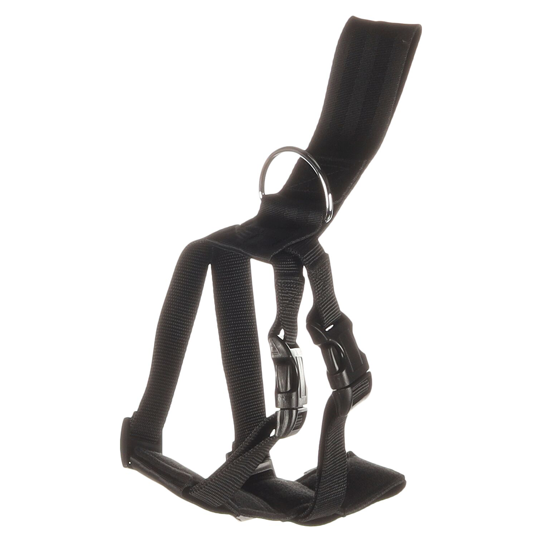 PETRAL PARA COCHE M (10 - 17 KG) - Imagen 2