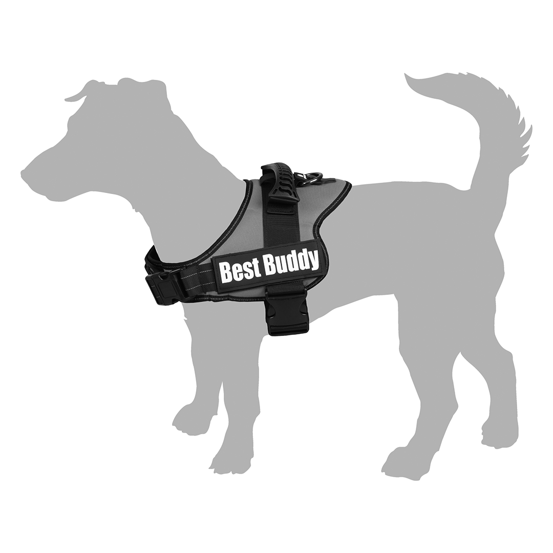 ARNES BEST BUDDY PLUTO ROJO L 70-70CM*50 - Imagen 2