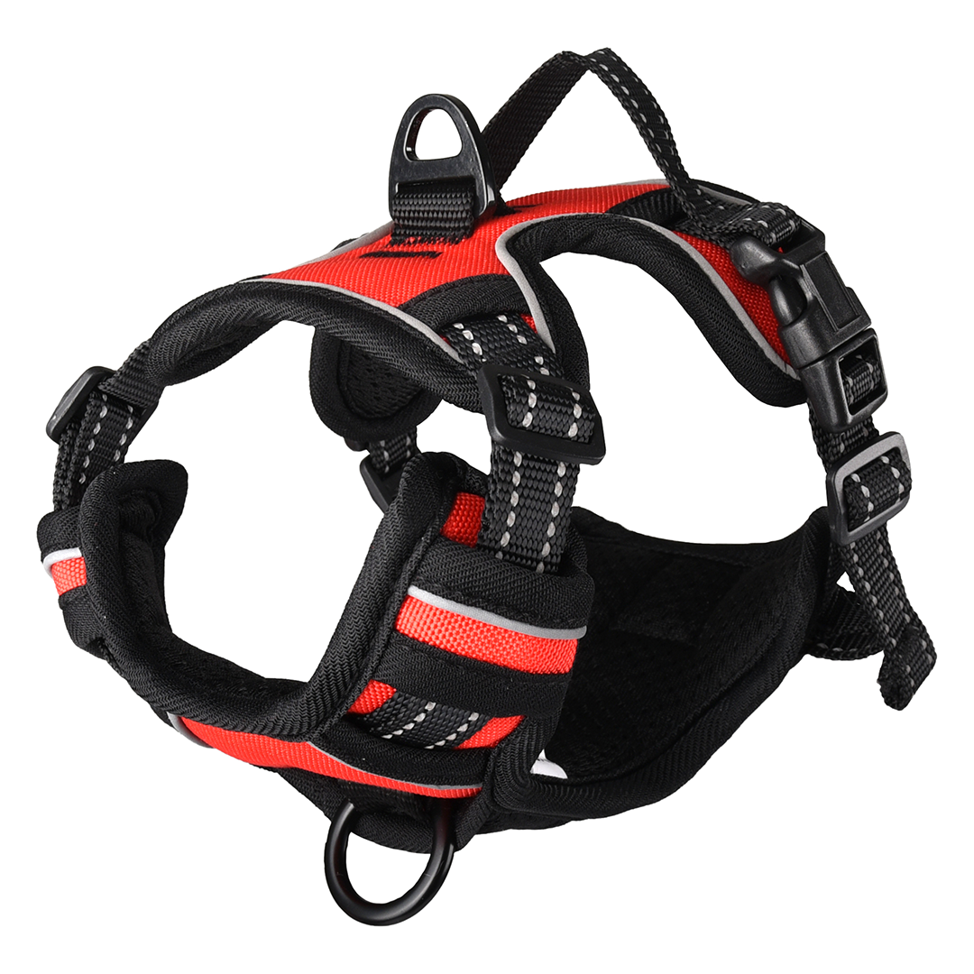PETRAL BALOU ROJO "S" 40-55CM*20MM