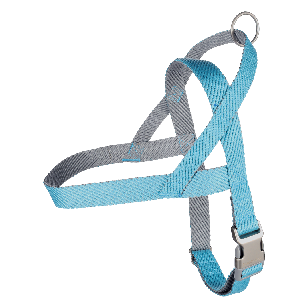 ARNES NORUEGO ELLY AZUL "XL"65-85CM*25MM