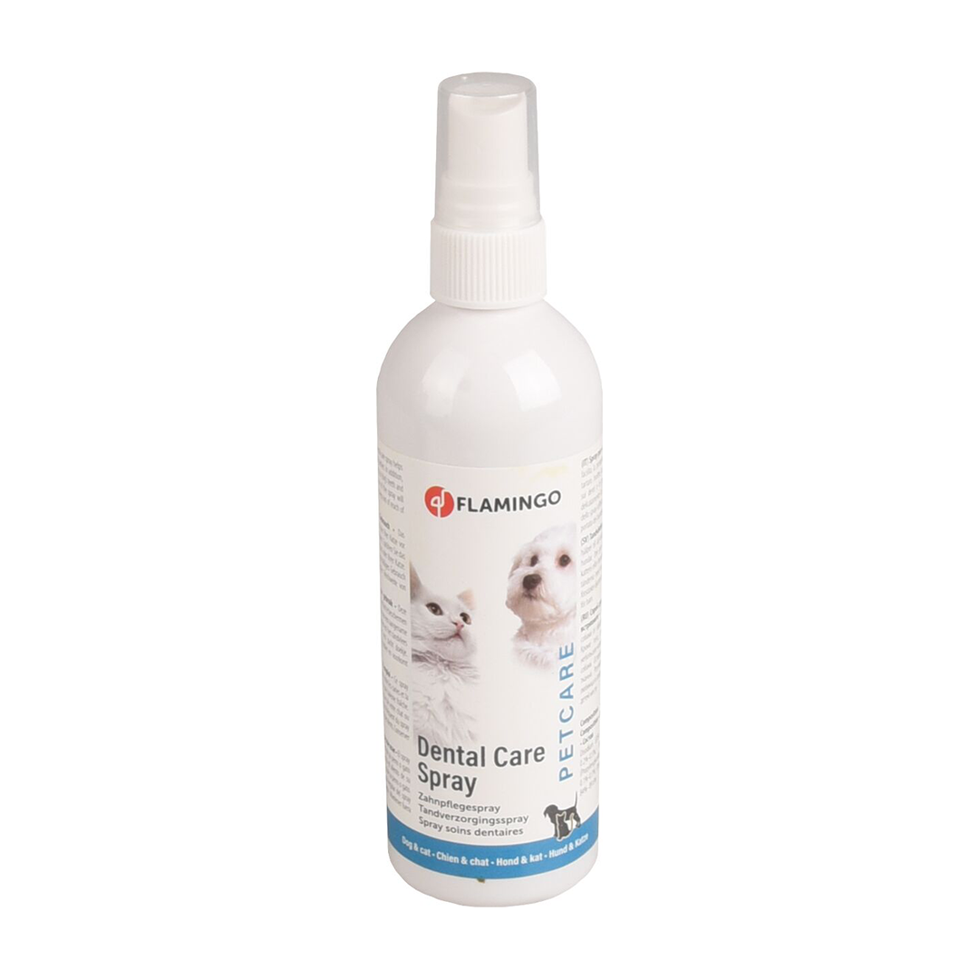 PETCARE SPRAY HIGIENE DENTAL 175 ML