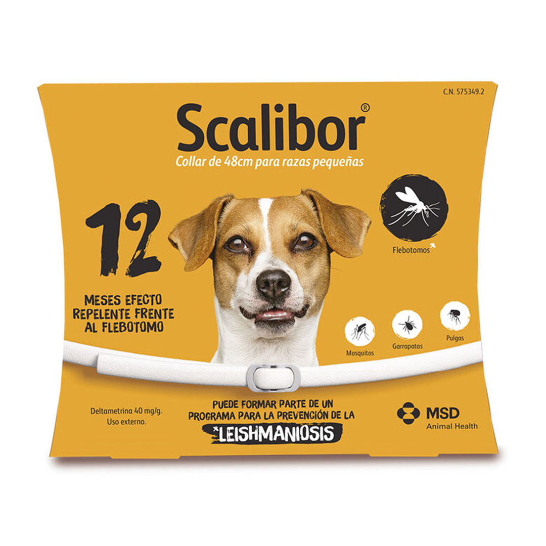 COLLAR SCALIBOR 48 CM 12M