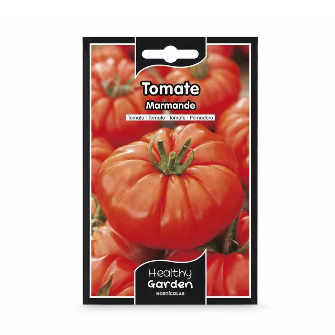 TOMATE SUPER MARMANDE "MAXI"